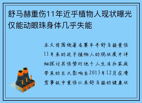 舒马赫重伤11年近乎植物人现状曝光仅能动眼珠身体几乎失能
