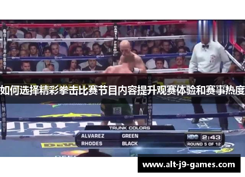 如何选择精彩拳击比赛节目内容提升观赛体验和赛事热度